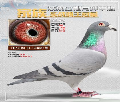 657范登布克500公里季軍