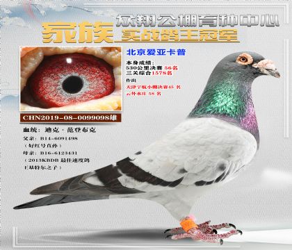 卡普26名凡登布克098