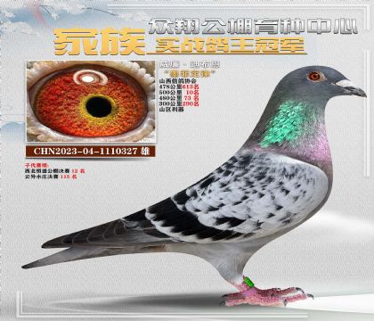 327威廉迪布恩500公10