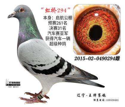 高代虹橋閃電-汽車賽亞軍