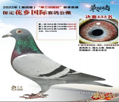 l(xing)Qِ433