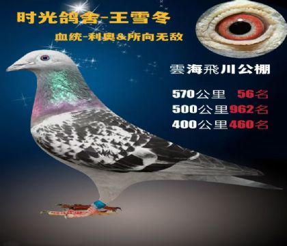 ӏ(qing)ِ56