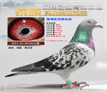 威廉迪布恩特比615
