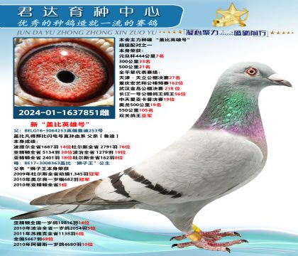 金環(huán):新“蓋比英雄號”
