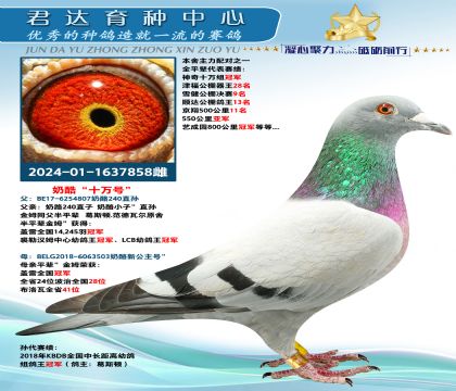 金環(huán):奶酪“十萬號”
