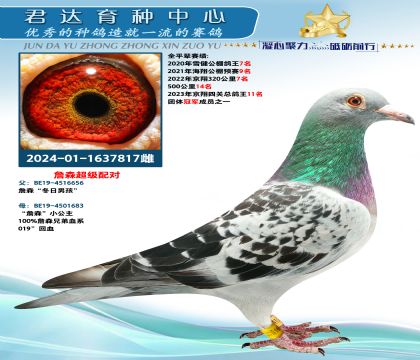 金環(huán):詹森“冬日男孩” 詹森超級配對