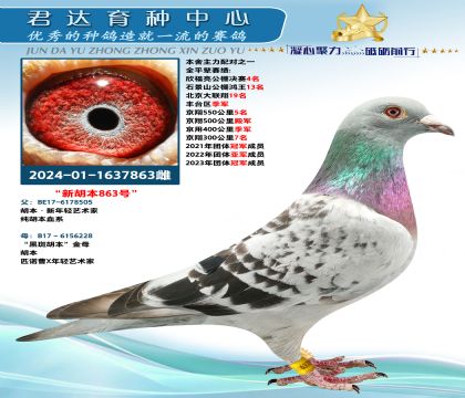 金環(huán):新胡本863號