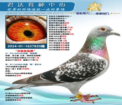 金環(huán):利奧“新麻鷹”