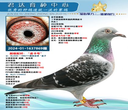 金環(huán):威廉帝布恩“墨菲定律”孫代