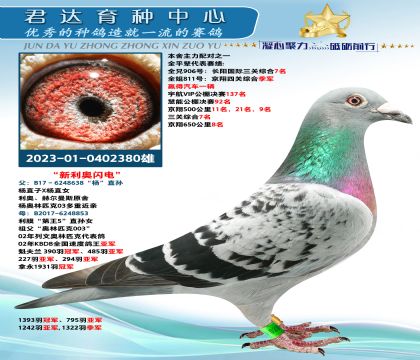 金環(huán):“新利奧閃電號”