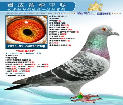金環(huán):新“利奧003”