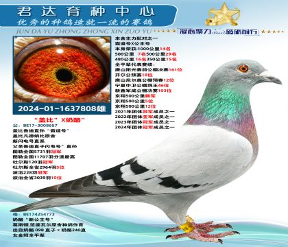 金環(huán):蓋比“霸道號”