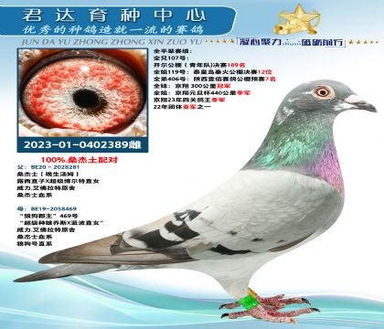 金環(huán):百分百桑杰士配對