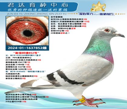 金環(huán):新“保時捷“852”號