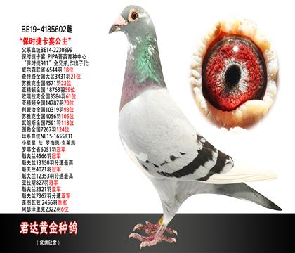 ĸD