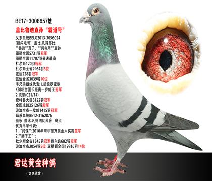 ĸD