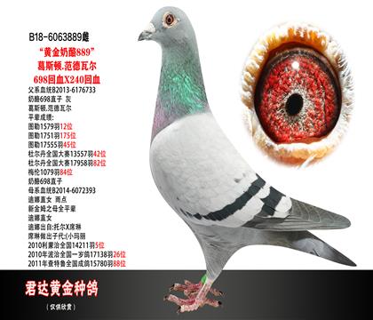 ĸD
