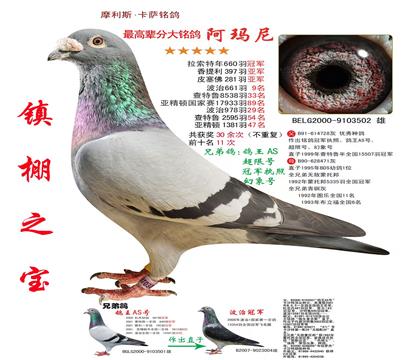游