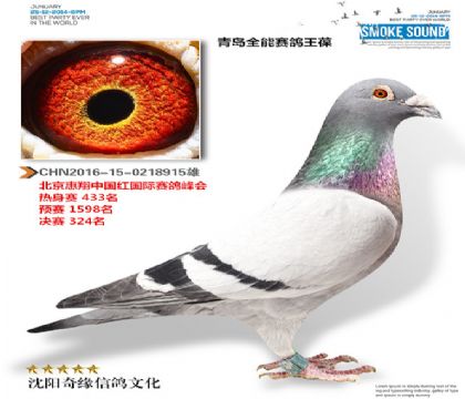 CHN2016-15-0218915