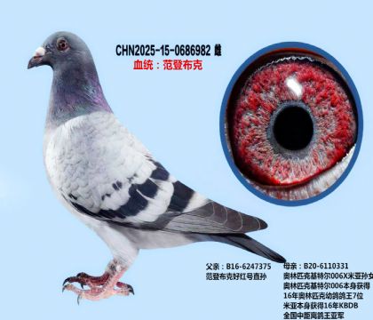 ǲ˺üt̖Xؠ006ͬC981