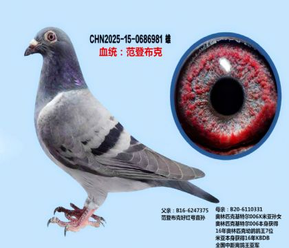 ǲ˺üt̖Xؠ006ͬC982