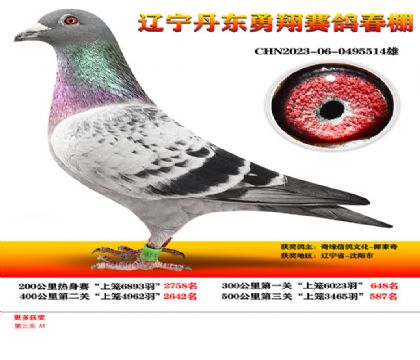 СӌOӣ|蹫@