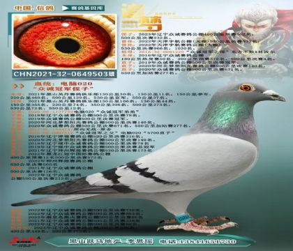 500Ǿ Ը