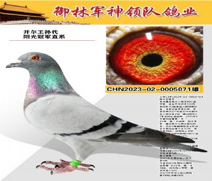 ھֱϵ