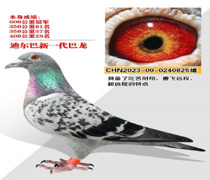 Ѫͳ ϶һ