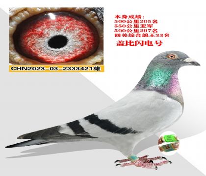 ѪͳǱ