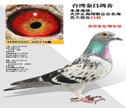 Ѫͳ ǲ˺ն