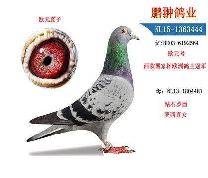 ĸչʾ