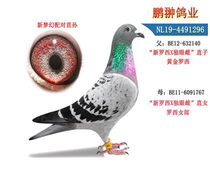 ĸչʾ
