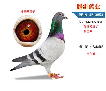 ĸչʾ