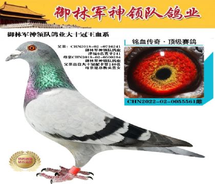 ܊ʮѪϵ