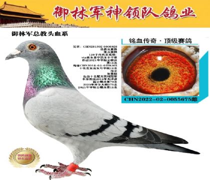 ܊^Ѫϵ