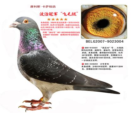 游ȫھë