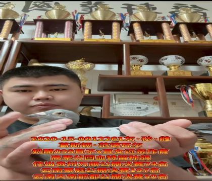 ˹D.ߠ098ֱX098ֱŮH