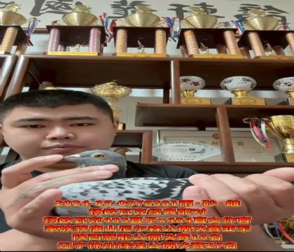 W߿˽(jng)䌦483ֱX484ֱŮ