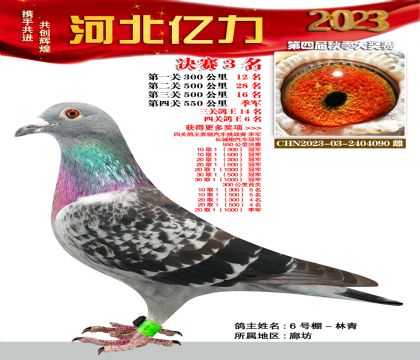 |Qِ܊P(gun)6λ W003Ѫϵ