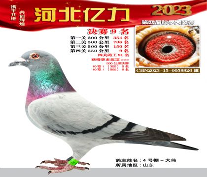|Qِ9 W߿483Ѫϵ