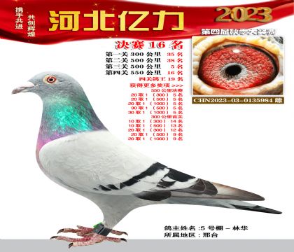 |Qِ16 OwѪϵ