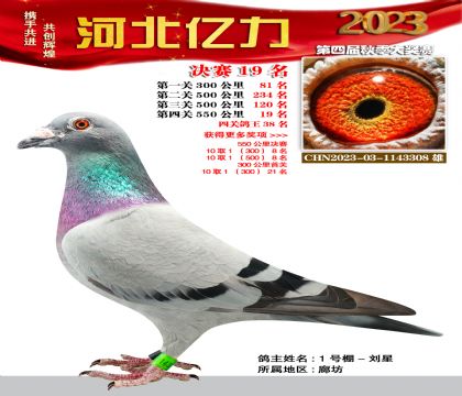 |Qِ19 ɣʿѪϵ
