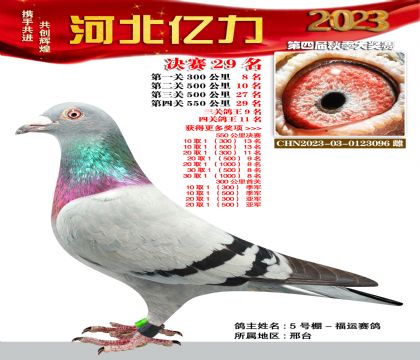 |Qِ29 īƶѪϵ