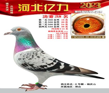 |Qِ38 WƥZL(fng)̖(ho)Ѫϵ