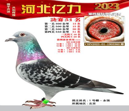 |Qِ51P(gun)20λWѪϵ