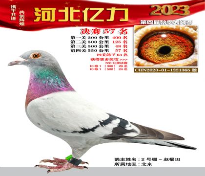 |Qِ57 Ѫϵ