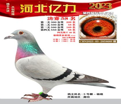 |Qِ58 ɣʿѪϵ