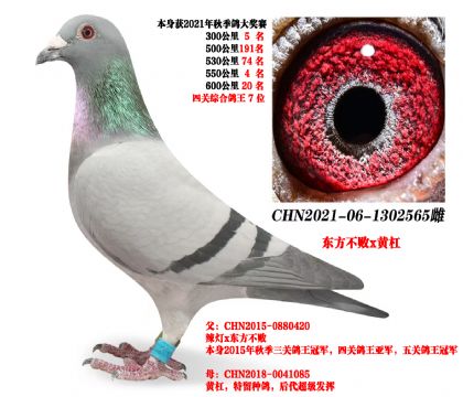 P(gun)8λ3005550܊|