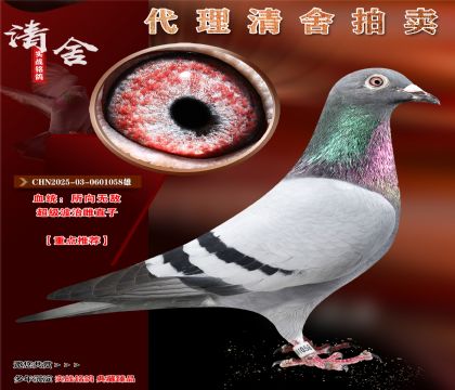 o(w)(j)δơֱ